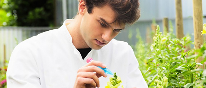 ��ҩ������������ƽ̨